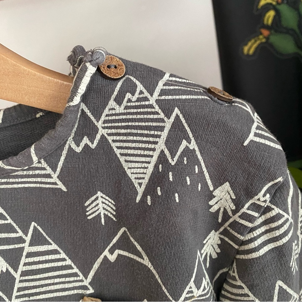 Lali Gray Winter Mountain Print Long Sleeve Shirt - Picture 7 of 13